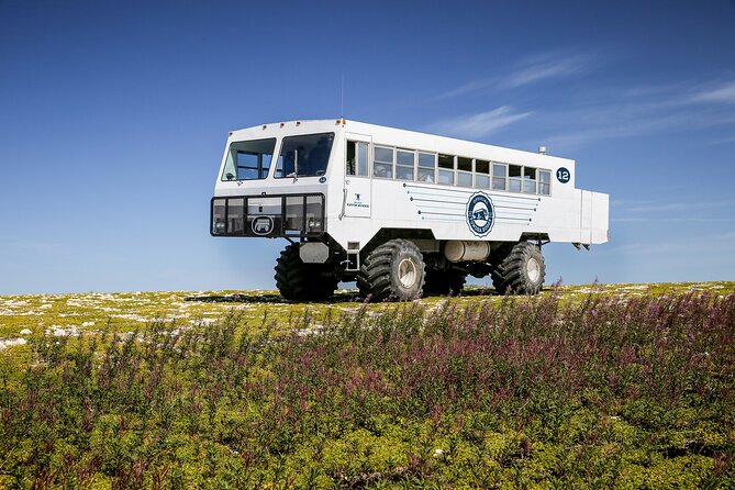 Belugas, Bears and Blooms in Churchill Manitoba - Included Experiences