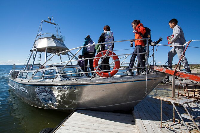 Belugas, Bears and Blooms in Churchill Manitoba - Meeting Point and Availability