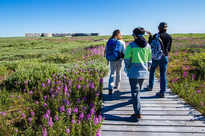 Belugas, Bears and Blooms in Churchill Manitoba - Booking and Cancellation