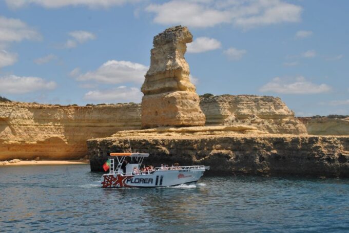Benagil: 2.5-Hour Coastal Exploration and Dolphins Tour - Dolphin Watching