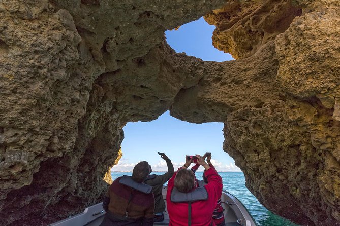 Benagil Boat Tour With Local Guide - Highlights of the Tour