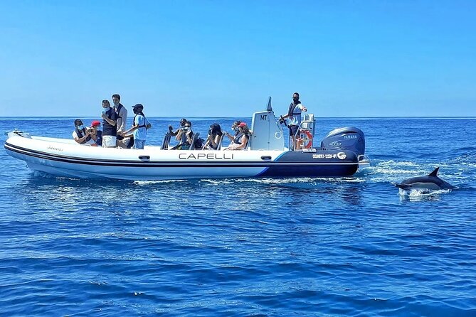 Benagil Caves Visit With Dolphins Watching From Albufeira - Meeting and End Point