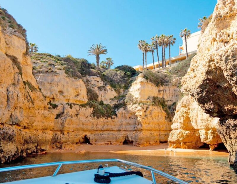 Benagil's Best 15 Caves Boat Tour - Guided Experience