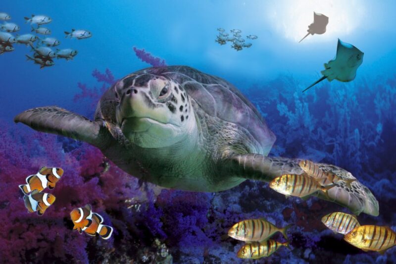 Benalmadena Aquarium Visit - Key Points