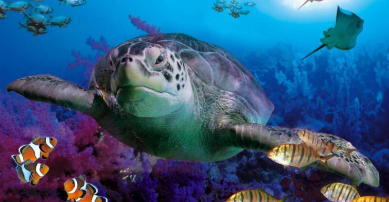 Benalmadena Aquarium Visit - Aquarium Zones
