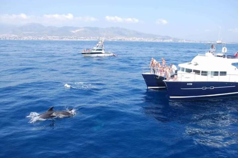 Benalmádena: Catamaran Cruise With Drinks and Swim Stop - Catamaran Features and Amenities