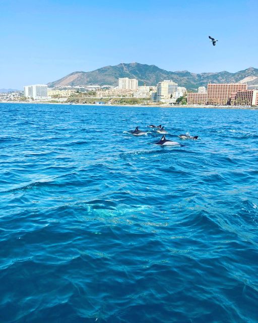 Benalmádena: Costa Del Sol License-Free Boat Rental - Navigational Safety and Instructions