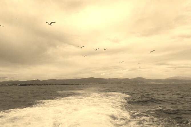 Benalmádena Ferry - Fuengirola - Booking Confirmation and Additional Details