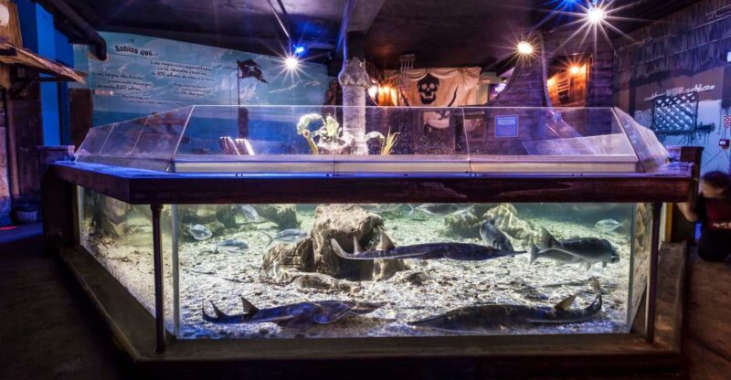 Benalmádena: Sea Life Benalmádena Premium Entry Ticket - Attractions and Experiences