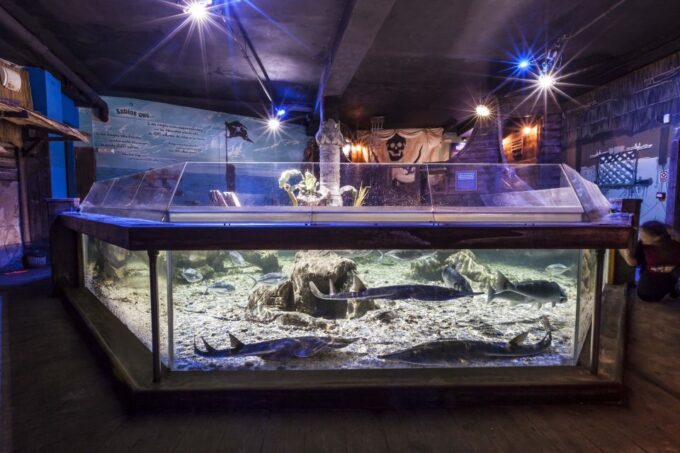 Benalmádena: Sea Life Benalmádena Premium Entry Ticket - Accessibility and Location Details