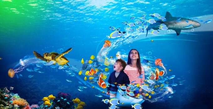 Benalmádena: Sea Life Benalmádena Premium Entry Ticket - FAQ