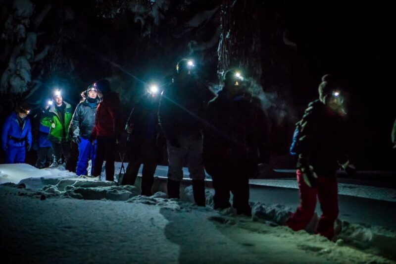 Bend: Guided Moonlit Snowshoe Tour - Customer Feedback