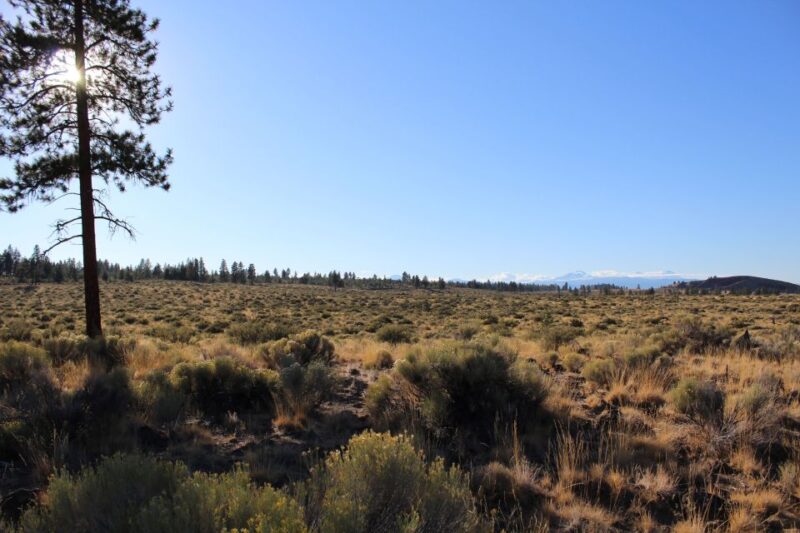 Bend: Half-Day Lava Tube Cave Tour - Panoramic Views