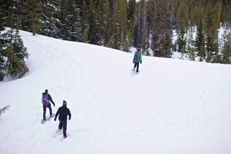 Bend: Half-Day Shoes, Brews, and Views Tour - Inclusions