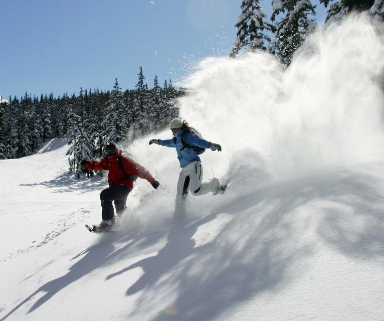 Bend: Half-Day Snowshoe Tour in the Cascade Mountain Range - Experience Highlights