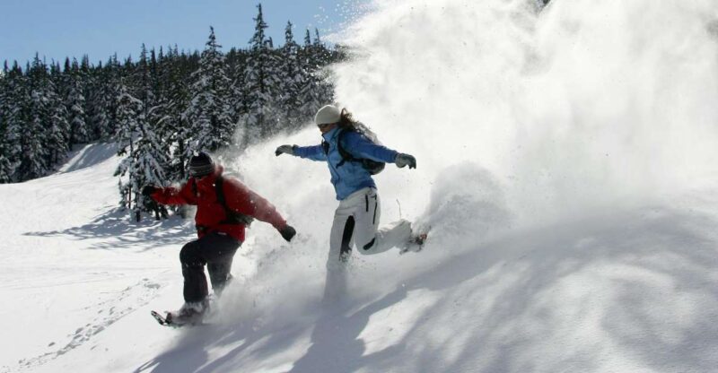 Bend: Half-Day Snowshoe Tour in the Cascade Mountain Range - Inclusions