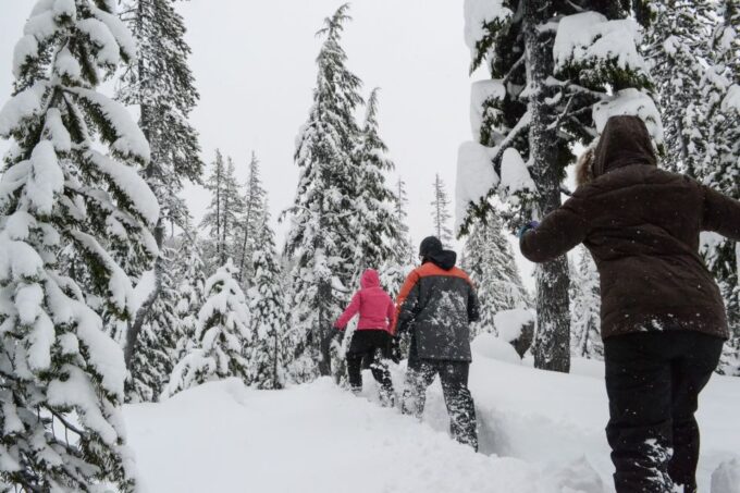 Bend: Half-Day Snowshoe Tour in the Cascade Mountain Range - Frequently Asked Questions