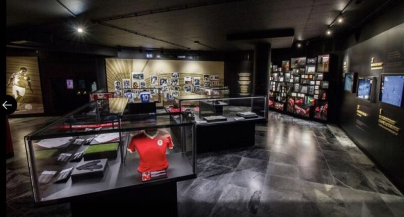 Benfica Stadium and Museum Tour - Key Points