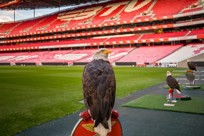 Benfica Stadium Tour and Museum Entrance Ticket - Additional Amenities and Features