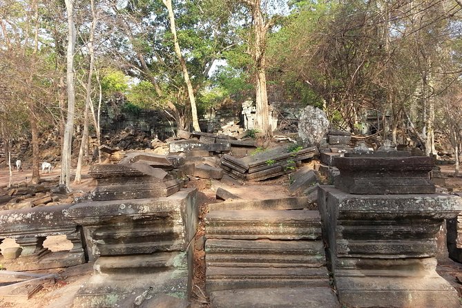 Beng Mealea and Kompong Phluk Review - Pickup and Drop-off