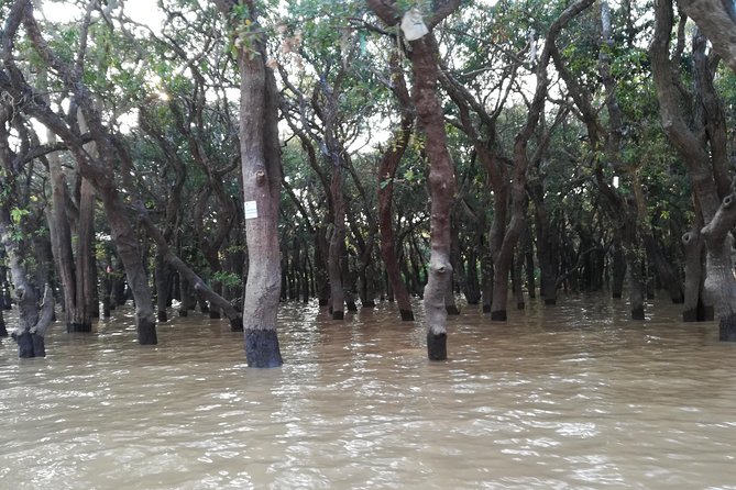 Beng Mealea, Floating Village (Kampong Phluk) and Rolus Temples Tour - Important Tour Information