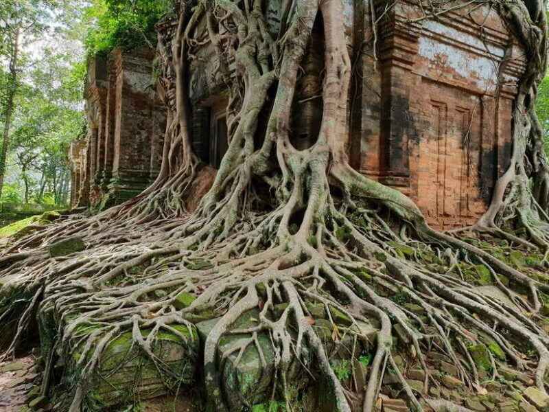 Beng Mealea, Koh Ker & Floating village Day Tour - The Value of this Tour