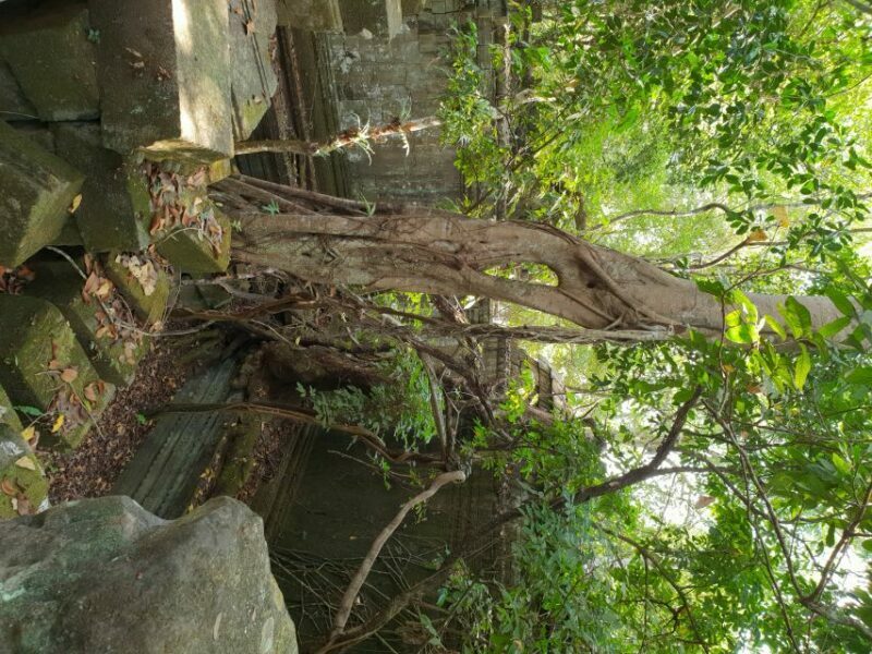 Beng Mealea, Koh Ker & Floating village Day Tour - Who Should Consider This Tour?