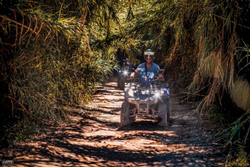 Benidorm: Jungle or Algar Waterfalls Quad Tour - Activity Highlights