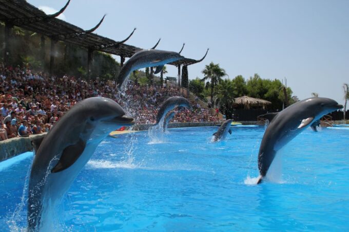Benidorm: Mundomar Animal Park 1-Day Ticket - Mobility and Accessibility