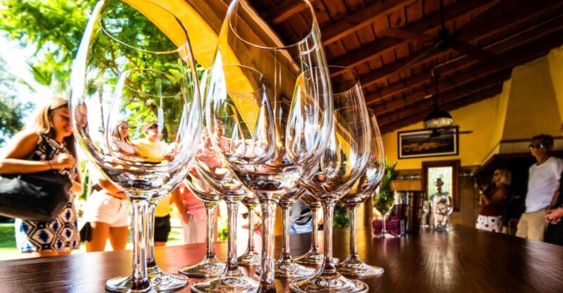 Benidorm: Private City Highlights Tour With Wine Tasting - Inclusions