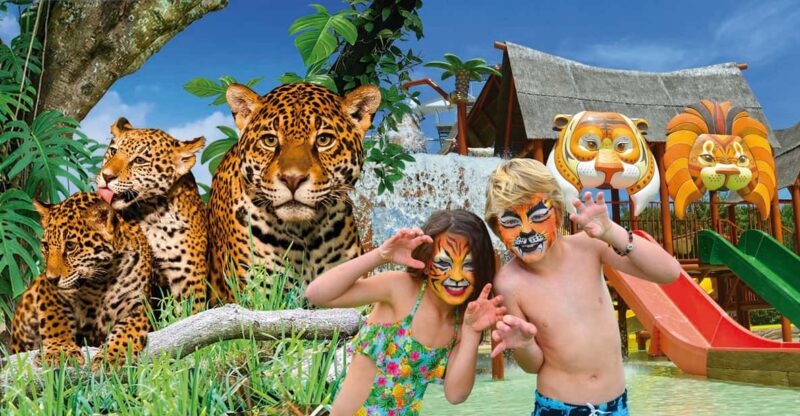Benidorm: Terra Natura and Aqua Natura Combo Day Ticket - Aqua Natura Water Park