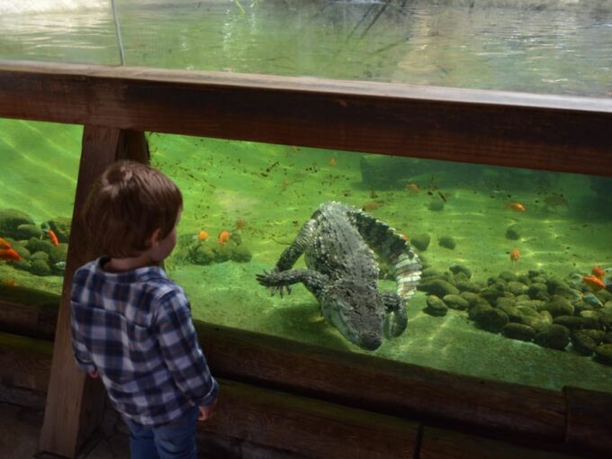 Benidorm: Terra Natura and Aqua Natura Combo Day Ticket - Whats Included in the Combo Ticket