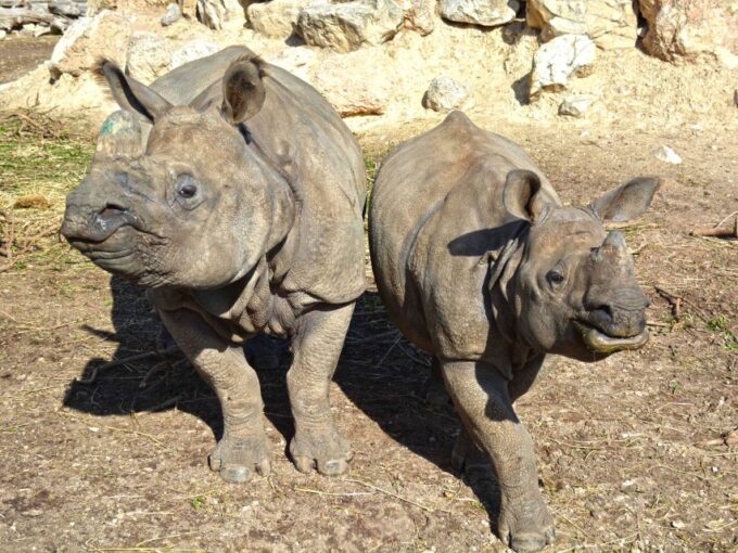 Benidorm: Terra Natura Theme Park 1-Day Tickets - Discounts and Savings