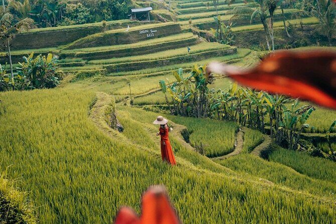Benoa port Shore Excursion private South Bali Nature Tour - Practical Details and What You Get