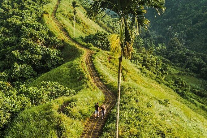 Benoa port Shore Excursion private South Bali Nature Tour - Who Is This Tour Best For?