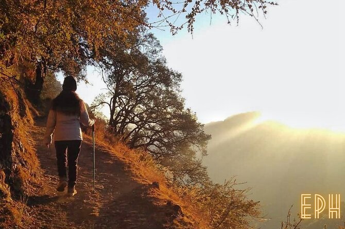 Benog Tibba Day Hike - Mussoorie - Exploring Benog Sanctuarys Diverse Wildlife