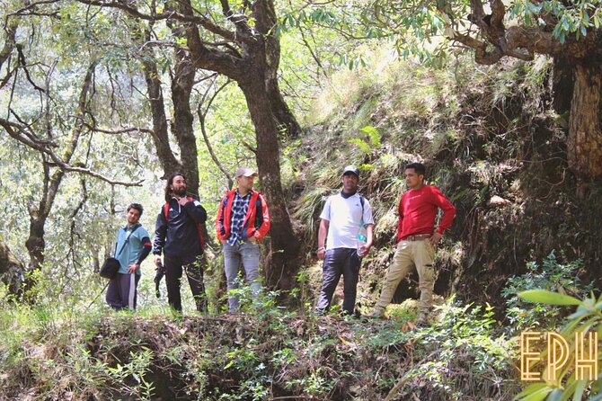 Benog Tibba Day Hike - Mussoorie - Hike Logistics: Meeting Point and Transportation