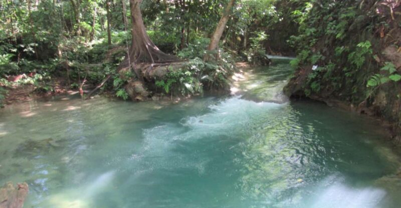 Benta River and Falls With Ricks Cafe Private Tour - Activities and Amenities