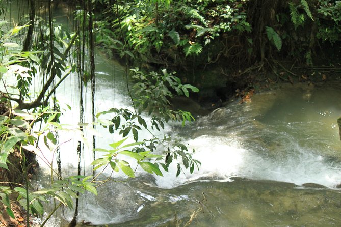 Benta River Falls and Ricks Cafe Day Adventure From Montego Bay - Accessibility and Safety