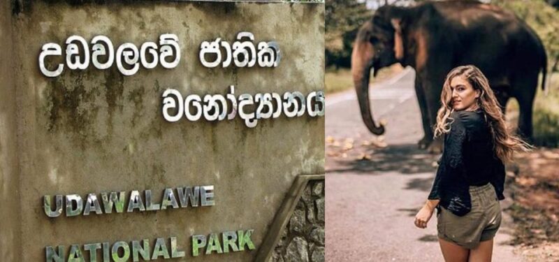 Benthota To Udawalawe National Park Safari Tour - Key Points