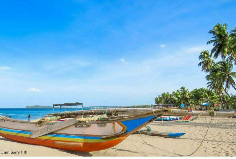 Bentota: All Inclusive Galle Dutch Fort & Madu River Safari - Final Thoughts: Who Should Consider This Tour?
