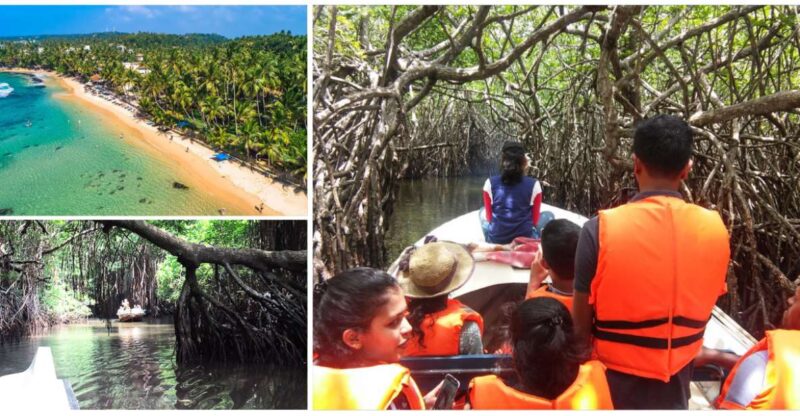 Bentota Beach, River Mangroves Lagoon, Wildlife Tour - Key Points
