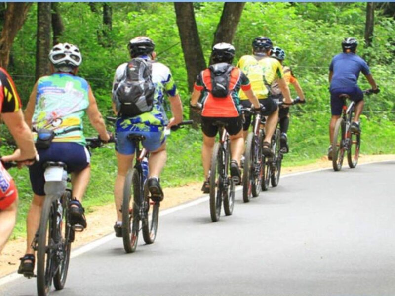 Bentota Bliss: Countryside Cycling Escape - Itinerary Details