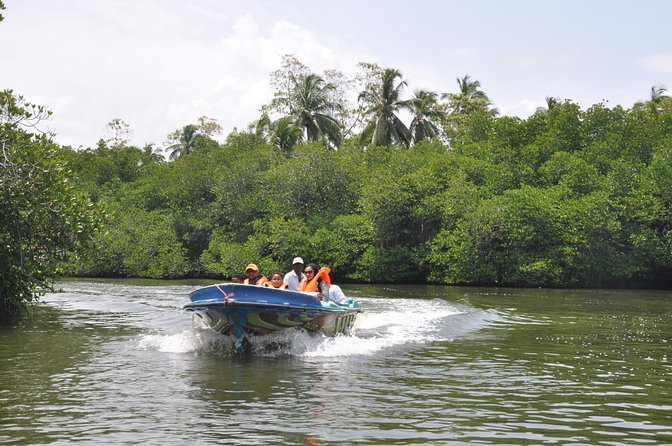 Bentota City Tour - Inclusions and Exclusions