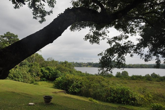 Bentota City Tour - Operator Information