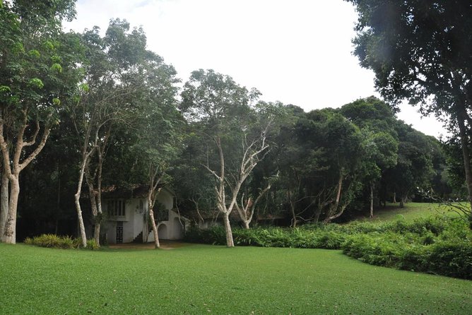 Bentota City Tour From Kalutara - Inclusions