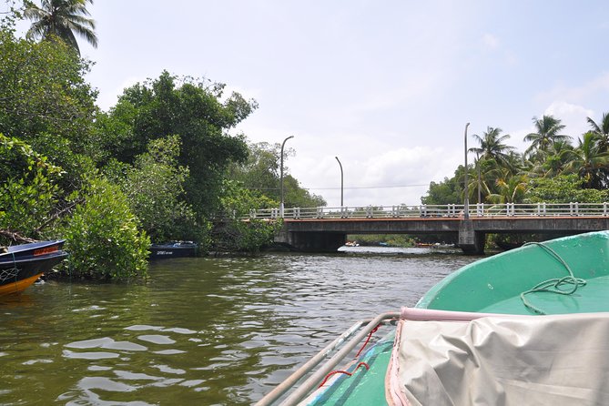 Bentota City Tour From Kalutara - Pricing and Cancellation