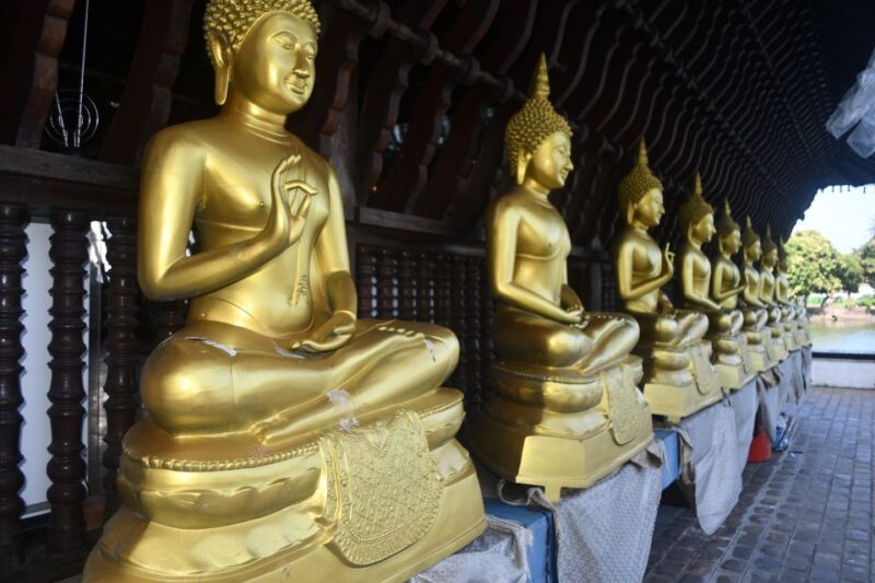 Bentota: Colombo Fishmarket and City Tour - Itinerary Highlights
