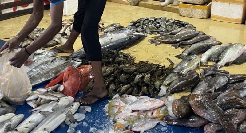 Bentota: Colombo Fishmarket and City Tour - Participant Considerations
