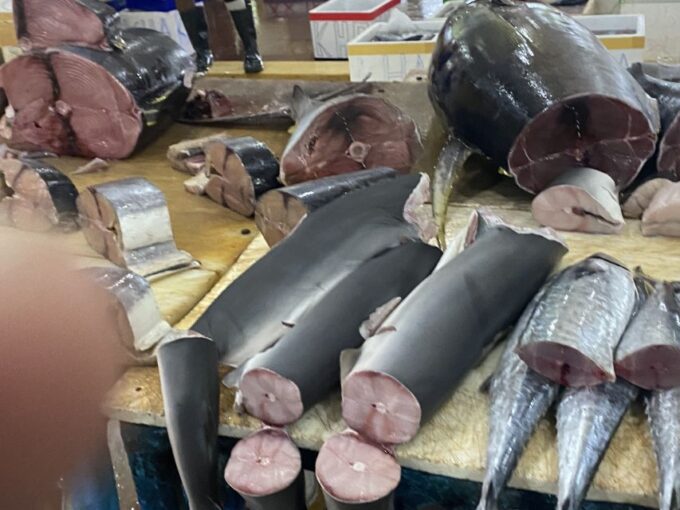 Bentota: Colombo Fishmarket and City Tour - Booking Information